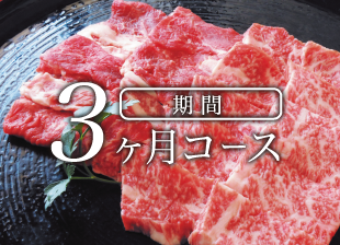 毎月届くごちそう便 3ヶ月コース