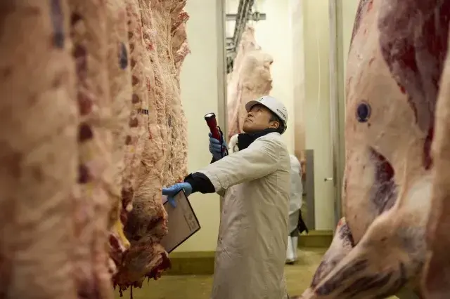 黄木の社長の市場風景